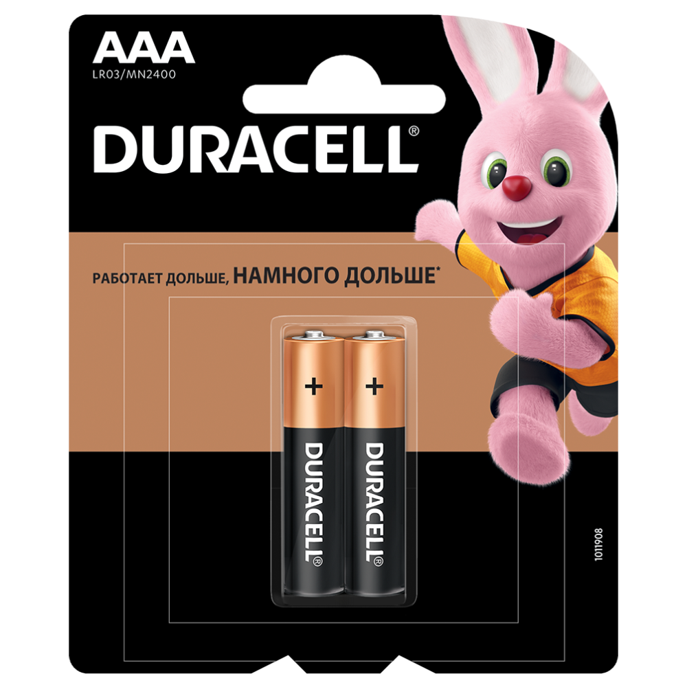 DURACELL AAA Basic  2 CN
